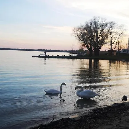 アパート Mediterrania ケストヘイ