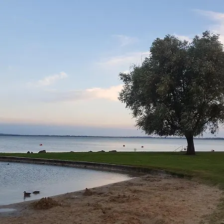 Mediterrania * ケストヘイ