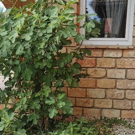 アパート Mediterrania ケストヘイ