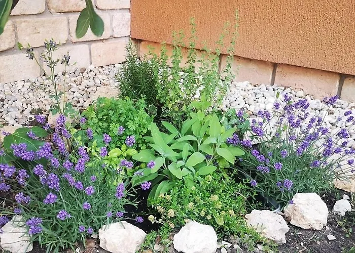 דירה Mediterrania קסזטלי